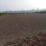 Kaligonga River site1